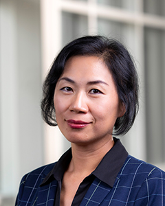 Dr. Ying Shang, Dean of the College of Engineering and Computer Sciences, Professor of Electrical Engineering
